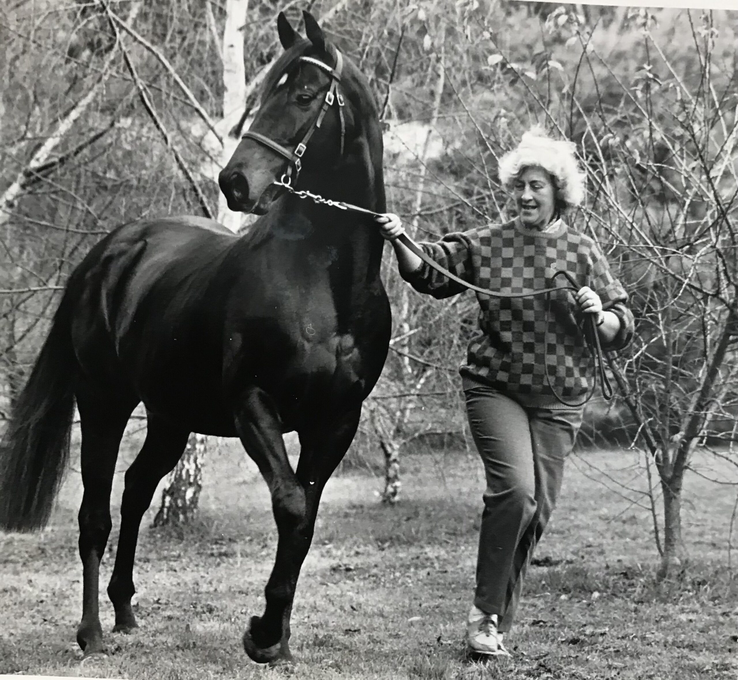 Jill Ross, Ardbrae