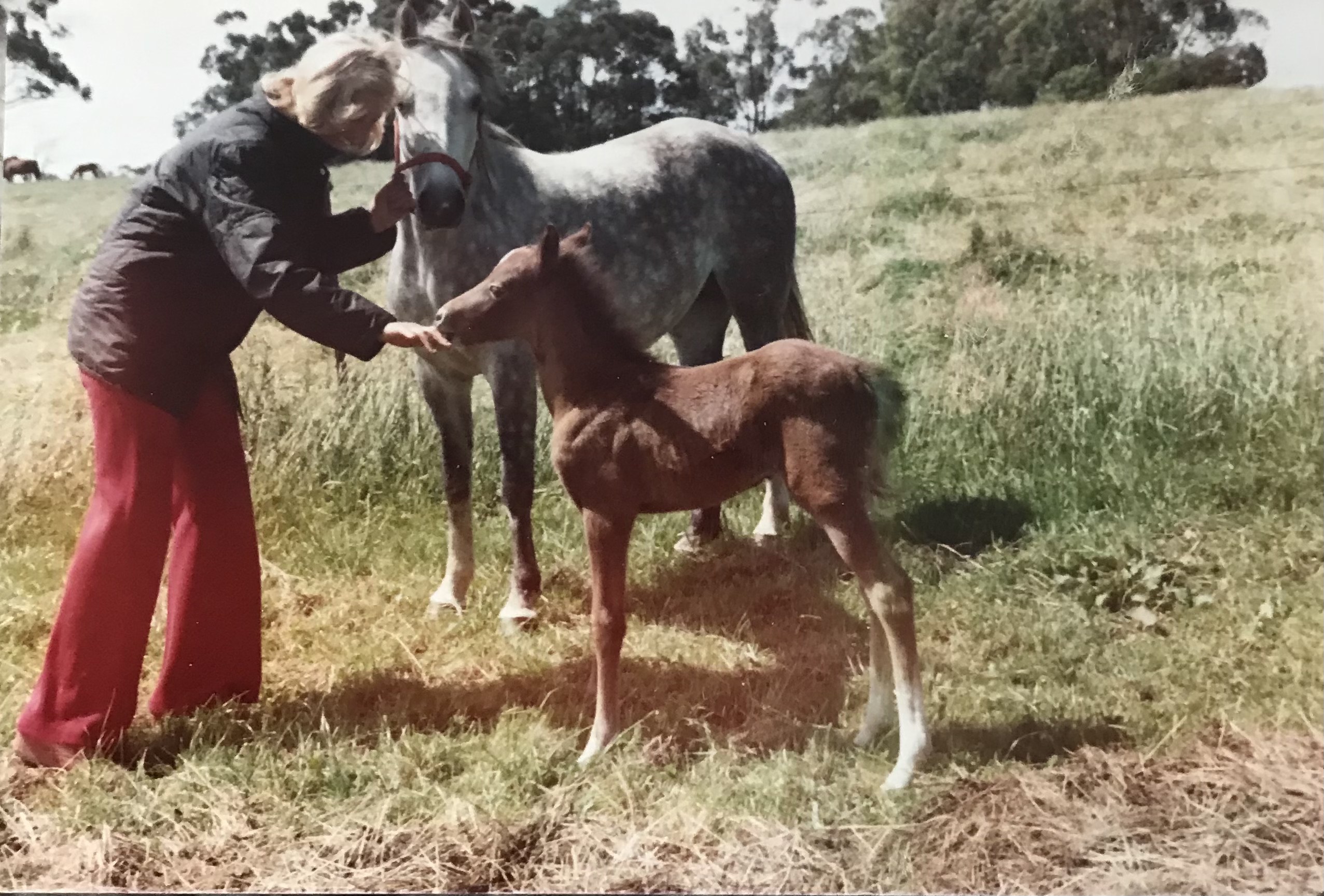 Jill Ross, Ardbrae