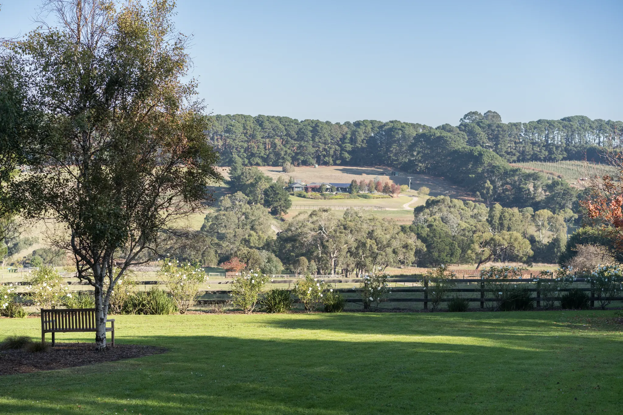 Ardbrae 5