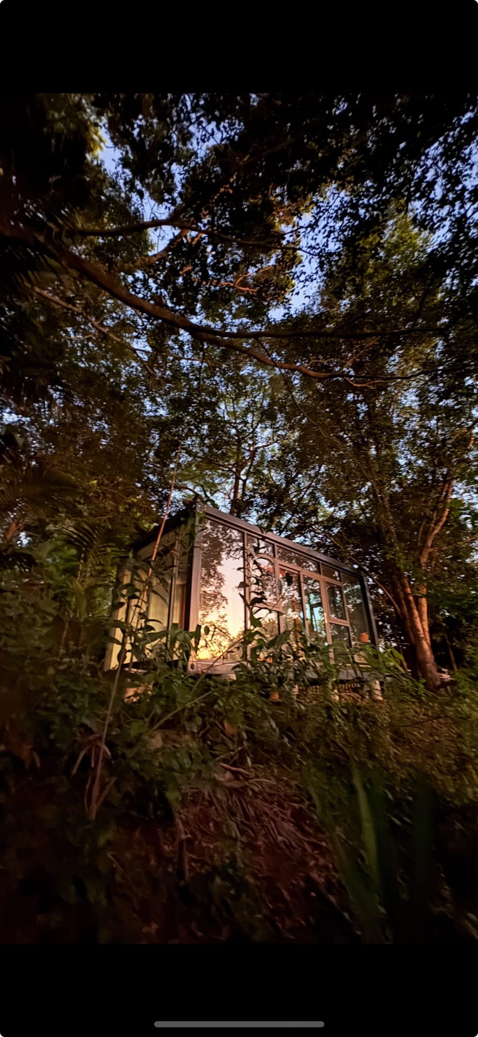 Glass portable office pod at dusk in Australian bushland