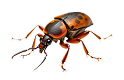 Advanced pest control equipment