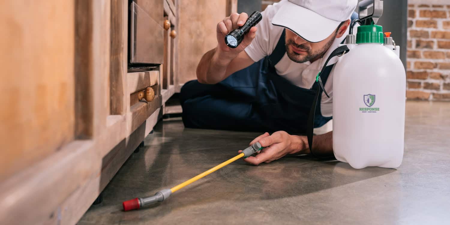Fire ant control Brisbane — accredited technician