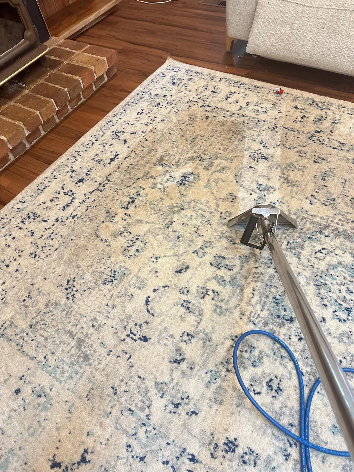Rug Cleaning
